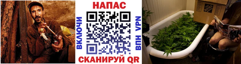 МАРИХУАНА THC 21%  Миньяр 